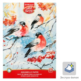 Альбом для акварели А4, 10 листов на клею ArtBerry «Снегири», обложка мелованный картон 170 г/м2, блок 80 г/м2
