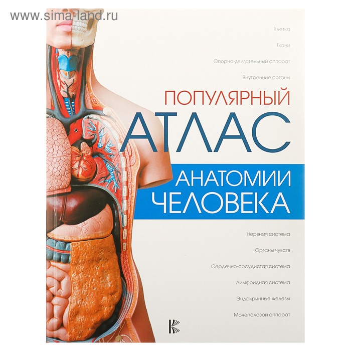 

Популярный атлас анатомии человека. Палычева Л.Н.