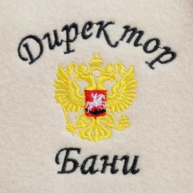 

Шапка банная "Директор бани", войлок, белая