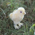 Мягкая игрушка «Цыпленок», 12 см - Фото 9