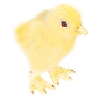 Мягкая игрушка «Цыпленок», 12 см - Фото 10