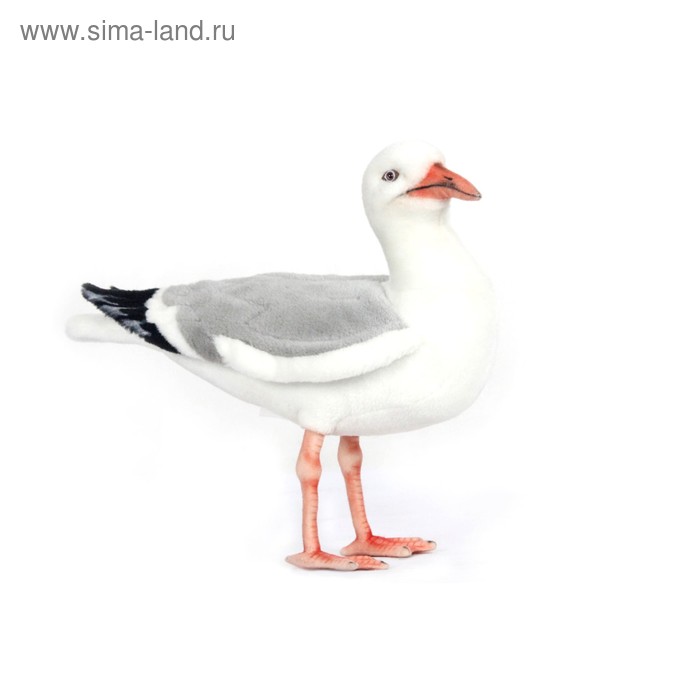 Плюшевая игрушка чайка. Мягкую чайку. Чайка игрушка. Мягкую чайку. Плюшевые мягкие игрушки птицы чайки.