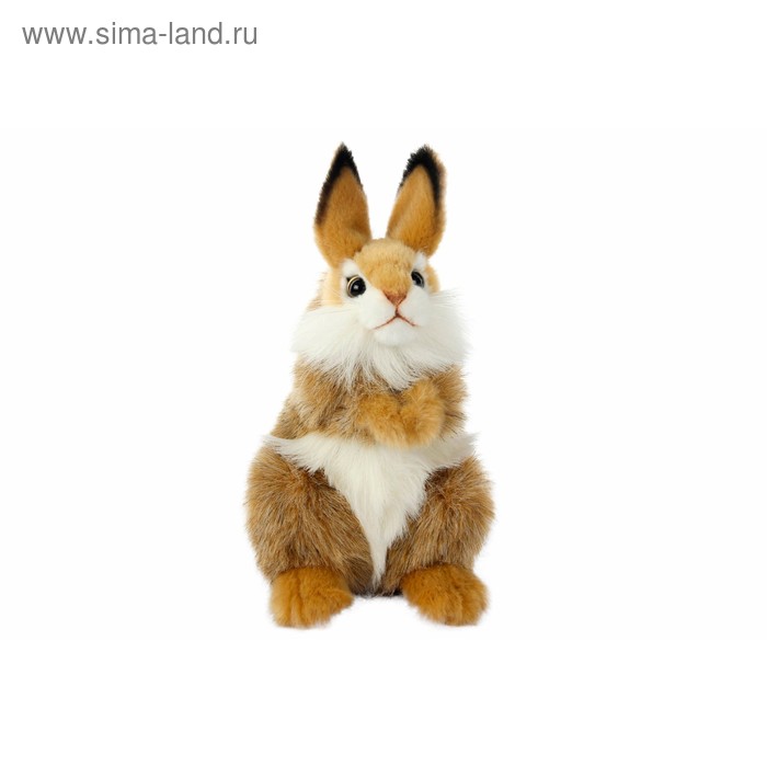 Мягкая игрушка «Коричневый кролик», 24 см