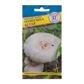 Мицелий грибов Волнушка белая, 60 мл Ош
