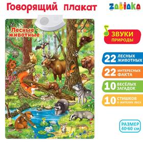 Говорящий электронный плакат «Лесные животные», работает от батареек Ош