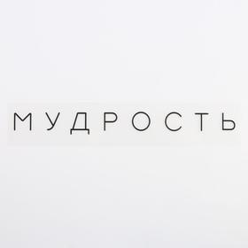 

Термонаклейка для текстиля «Мудрость», 19.5 × 2 см