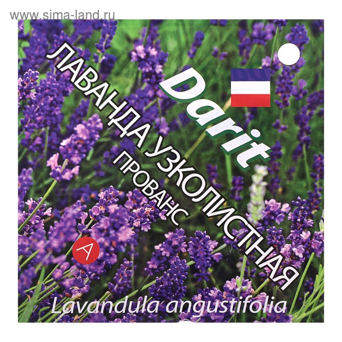 Семена цветов Лаванда узколистная Прованс, Мн, DARIT 0,1 г цена и фото