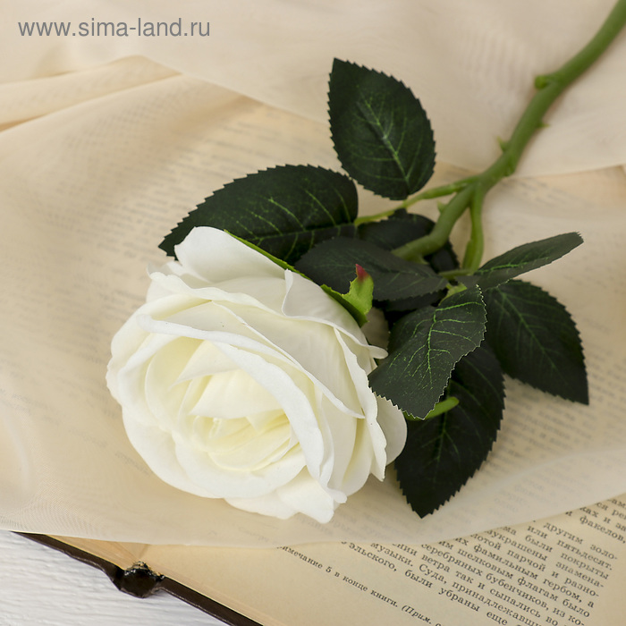 цена Цветы искусственные Роза венесуэльская 8х23 см, белый