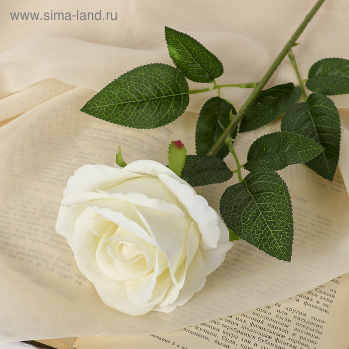 Цветы искусственные «Роза боливийская» 8х55 см, белый цветы искусственные роза эстетика 7х65 см белый
