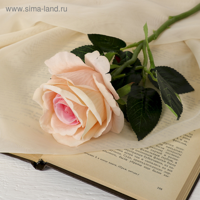 Цветы искусственные Роза венесуэльская 8х23 см, персиковый цветы искусственные роза венесуэльская 8х56 см розовый