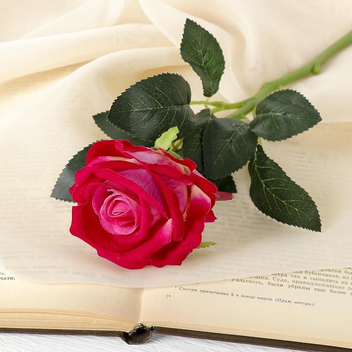 цена Цветы искусственные Роза венесуэльская 8х23 см, малиновый