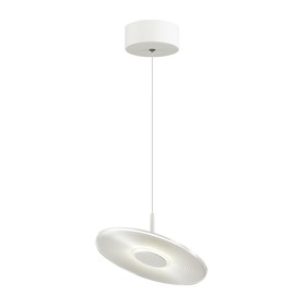 

Светильник ELLEN 12Вт 4000К LED белый