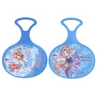 Ледянка WINX, МИКС