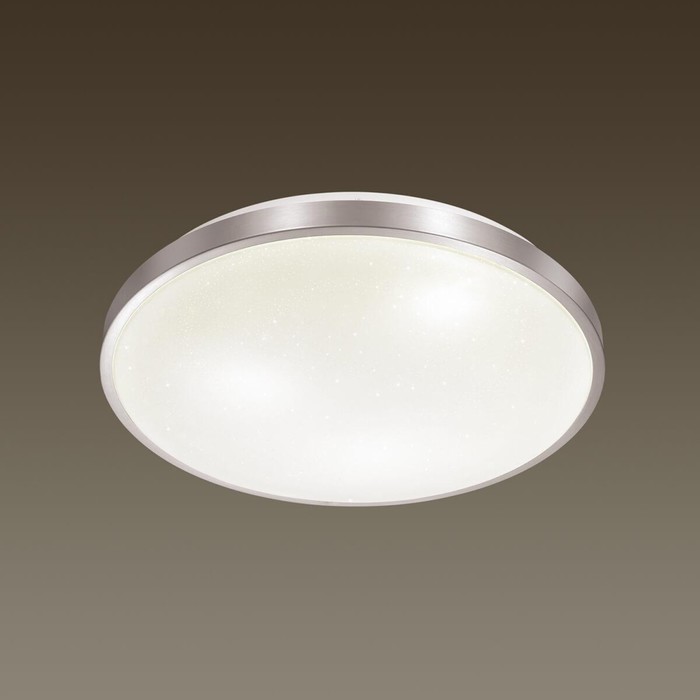 

Светильник LOTA NICKEL 1x48Вт 3000-6500К LED IP43 белый, серебро