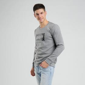 

Толстовка мужская Quality, размер 48, цвет светло-серый
