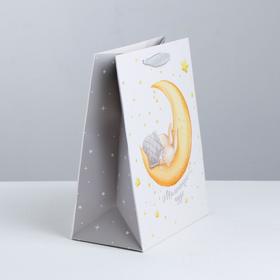 

Пакет ламинированный вертикальный «В стране фантазий», M 26 × 30 × 9 см