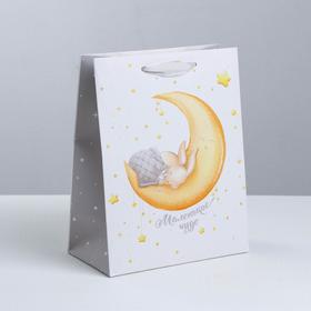 

Пакет ламинированный вертикальный «В стране фантазий», ML 23 × 27 × 11.5 см