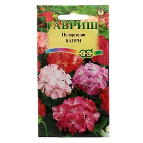 Семена комнатных цветов Пеларгония "Капри" F2 зональная, Мн, 4 шт
