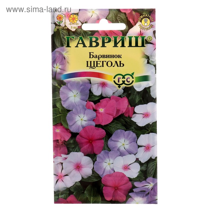 Семена комнатных цветов Барвинок Щеголь, 0,05 г барвинок престиж семена виктори клюква