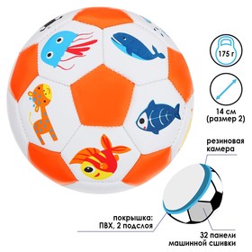 Мяч футбольный детский, ПВХ, машинная сшивка, 32 панели, размер 2, 175 г, цвета микс Ош