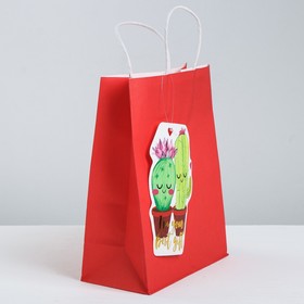 

Пакет крафтовый с шильдиком I`m your best gift, 21.5 × 27.5 × 10.5 см