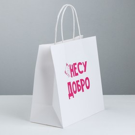 

Пакет подарочный «Несу добро», 22 × 22 × 11 см