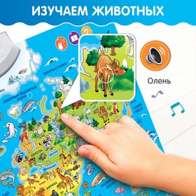 Обучающий плакат «Животные мира», звуковые эффекты от Сима-ленд