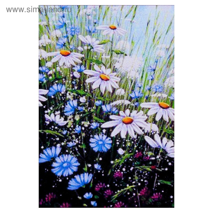 

Алмазная мозаика «Ромашковое настроение» 20 × 29 см, 25 цветов