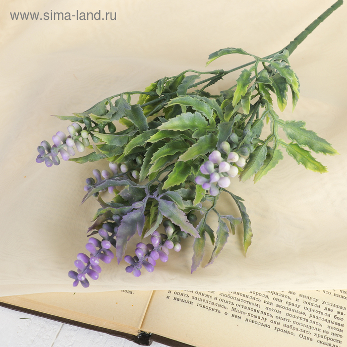 

Букет "Иксия" 30 см, микс