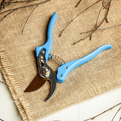 описание_картинки