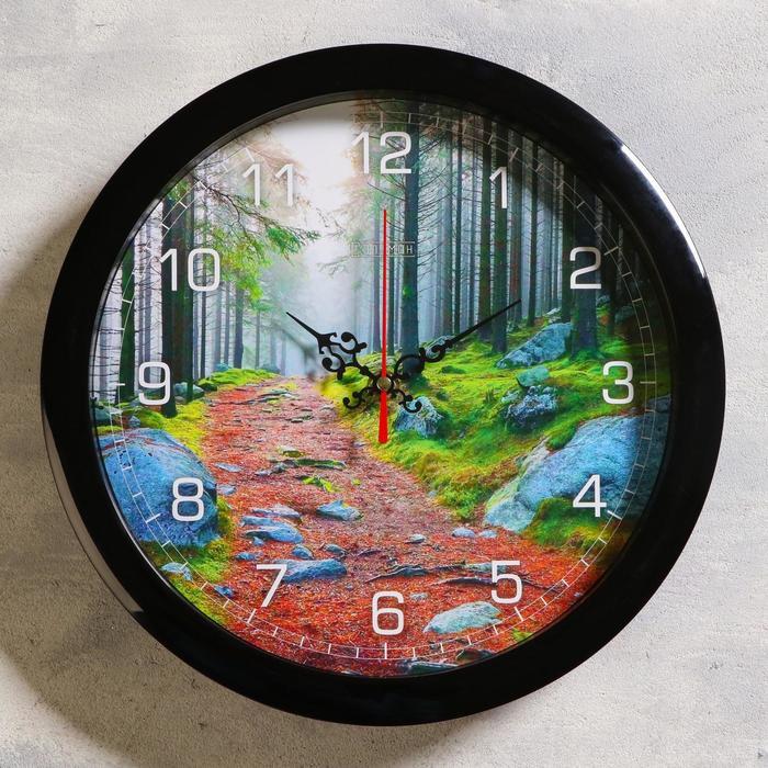 Часы настенные, серия: Природа, "Лесная тропа", плавный ход, d=28 см