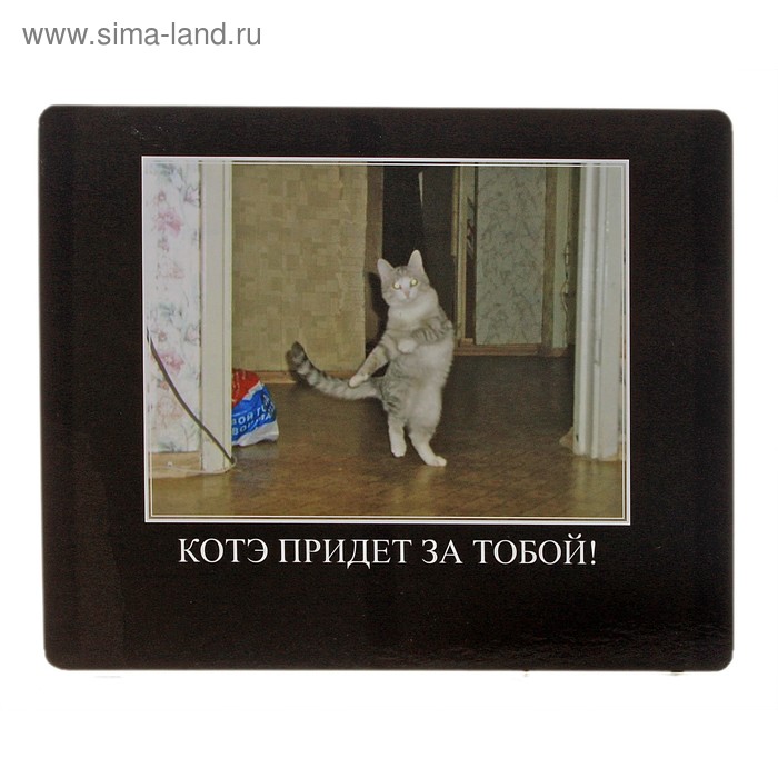 Котэ тв картинки