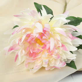 

Цветок искусственный "Астра Валькирия" 10*69 см, бело розовый