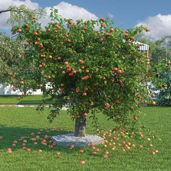 

Клумба, d = 60 см, оцинкованная