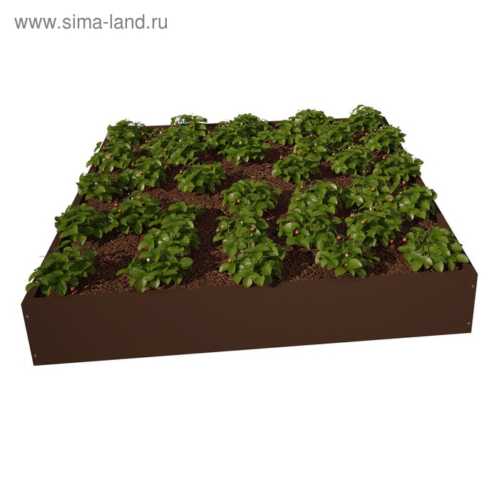 

Клумба, 100 × 100 см, коричневая