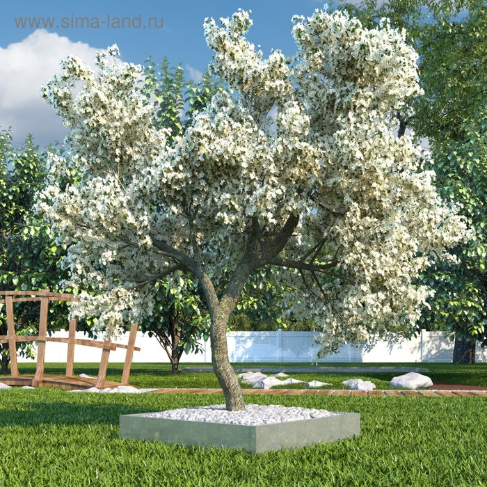 

Клумба, 100 × 100 см, оцинкованная
