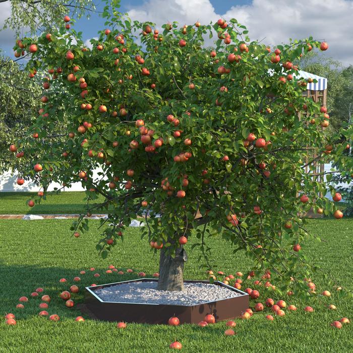 

Клумба, d = 60 см, коричневая