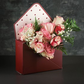 

Переноска складная "Конверт", цвет бордовый, 31 х 41 х 8 см
