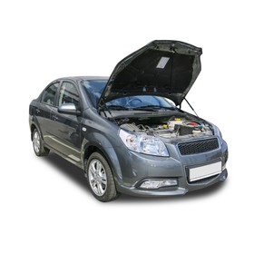 

Упоры капота АвтоУПОР для Ravon Nexia R3 2016-н.в., 2 шт., URAR3011