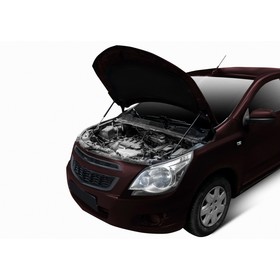 

Упоры капота Rival для Ravon R4 2016-н.в., 2 шт., A.ST.1303.1