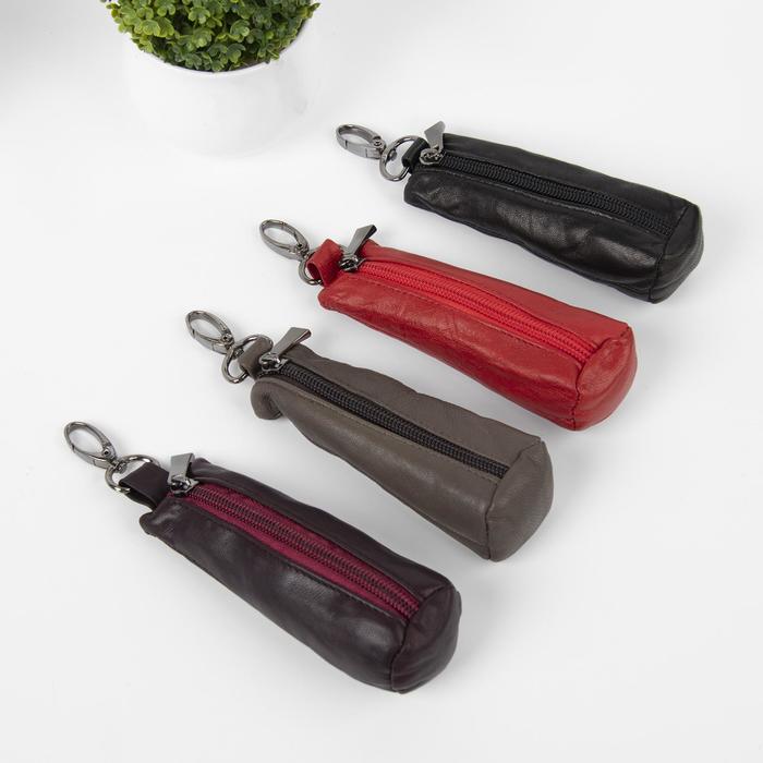 Ключница на молнии, металлическое кольцо, МИКС