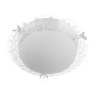 Светильник настенно-потолочный "Лоза" 1x60Вт E27 д.25см.