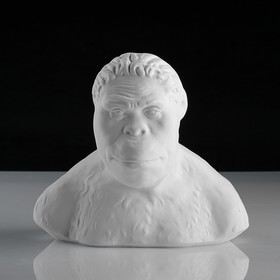

Гипсовая фигура, Бюст австралопитека «Мастерская Экорше», 21х15х19 см