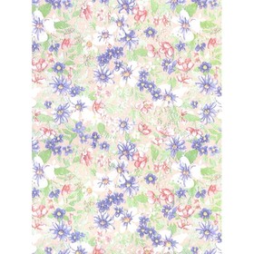 

Самоклеящаяся пленка "Colour decor" 8406, полянка 0,45х8 м