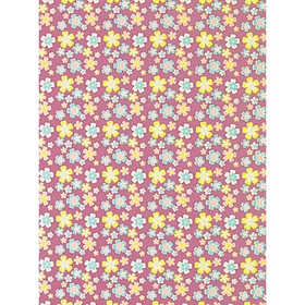 

Самоклеящаяся пленка "Colour decor" 8587, ситчик 0,45х8 м