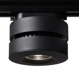 Светильник Siesta, 12Вт, LED, IP20, цвет чёрный