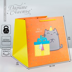 Пакет квадратный «Котик и тортик», 30 × 30 × 30 см