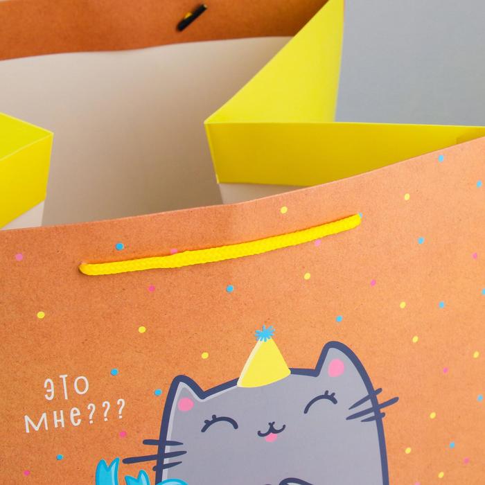 Пакет квадратный «Котик и тортик», 30 × 30 × 30 см