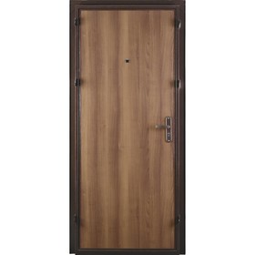 

Дверь входная СПЕЦ BMD итальянский орех/антик медь 2050х950 (правая)