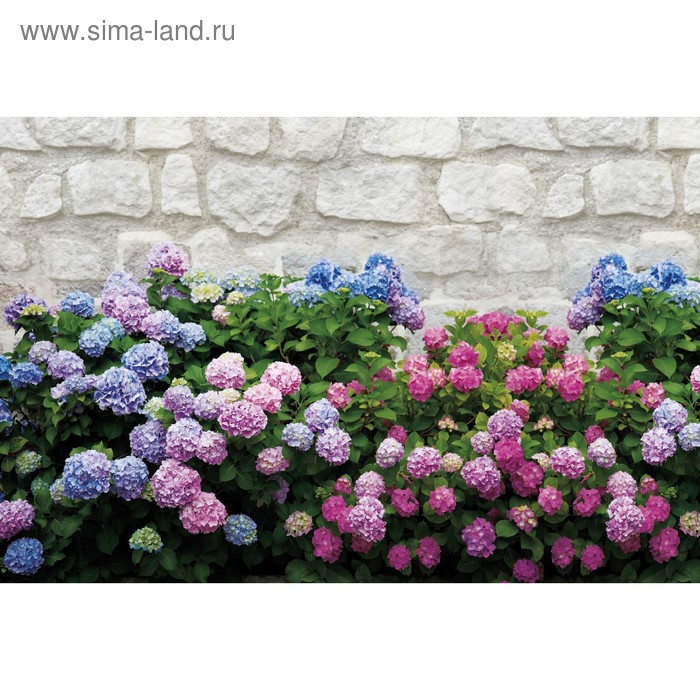 

Фотобаннер, 250 × 150 см, с фотопечатью, люверсы шаг 1 м, «Цветы», Greengo